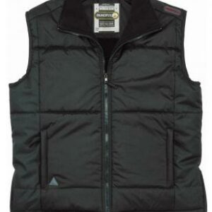 Work vest FIDJI, DELTA PLUS, PANOPLY Gray FIDJI Gray picture#1