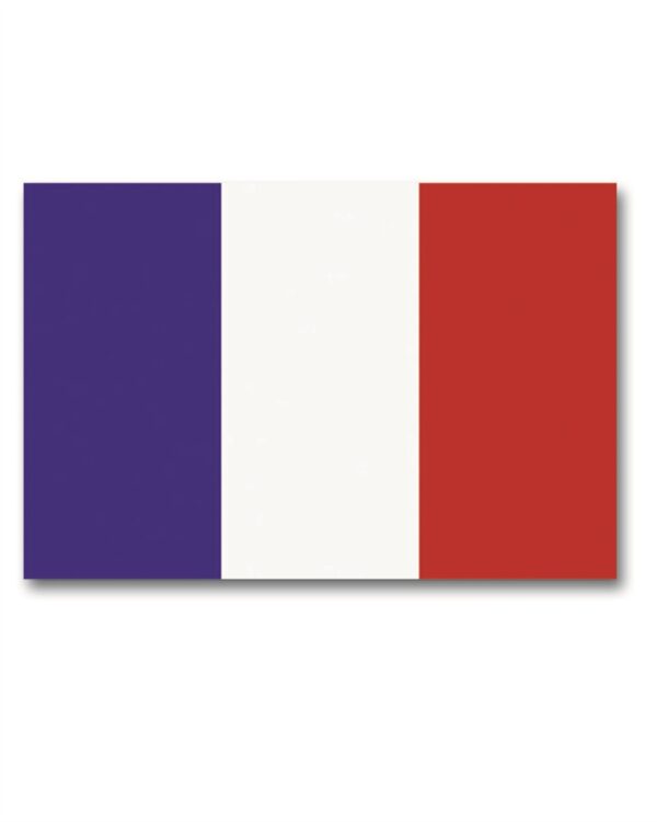 FLAG FRANCE 16730000 picture#0