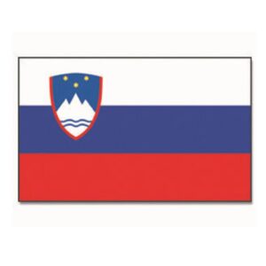 FLAG SLOVENIA 16747000 picture#0