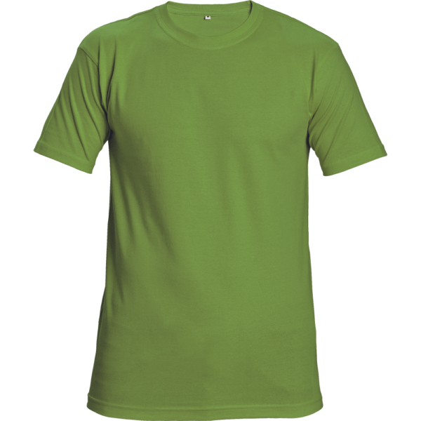 T-shirt TEESTA green TEESTA green picture#0