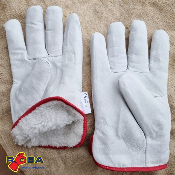 Warm сalfskin gloves R700 R700 picture#1