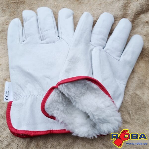 Warm сalfskin gloves R700 R700 picture#0