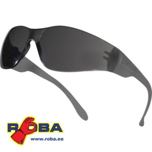 Очки защитные темные BRAV2FU BRAV2FU picture#0