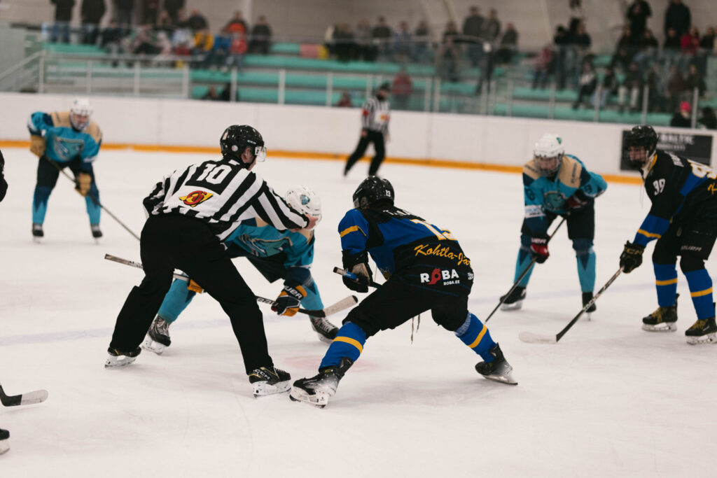 roba.ee jäähoki
