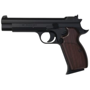 BORNER P210-B Blowback (Black) 8.4445 picture#0